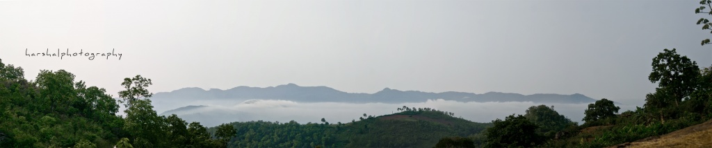 a view from Ananthagiri  by harsha
