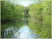 26th May 2012 - Reflections In The Lake