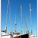 365-147 Felixstowe Ferry Yachts by judithdeacon