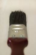 26th May 2012 - Down the Barrel of a Brush