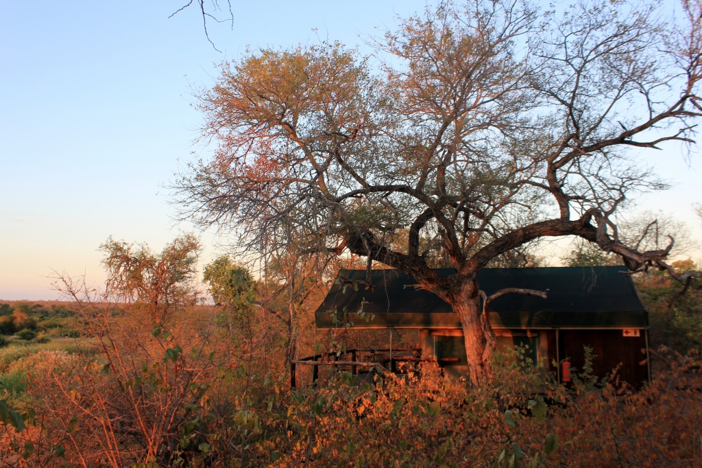 Mtomeni Tented Camp by eleanor