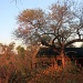 Mtomeni Tented Camp by eleanor
