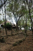 21st May 2012 - Modjadji Camp