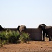 Elephant-sized drinking bowls by eleanor