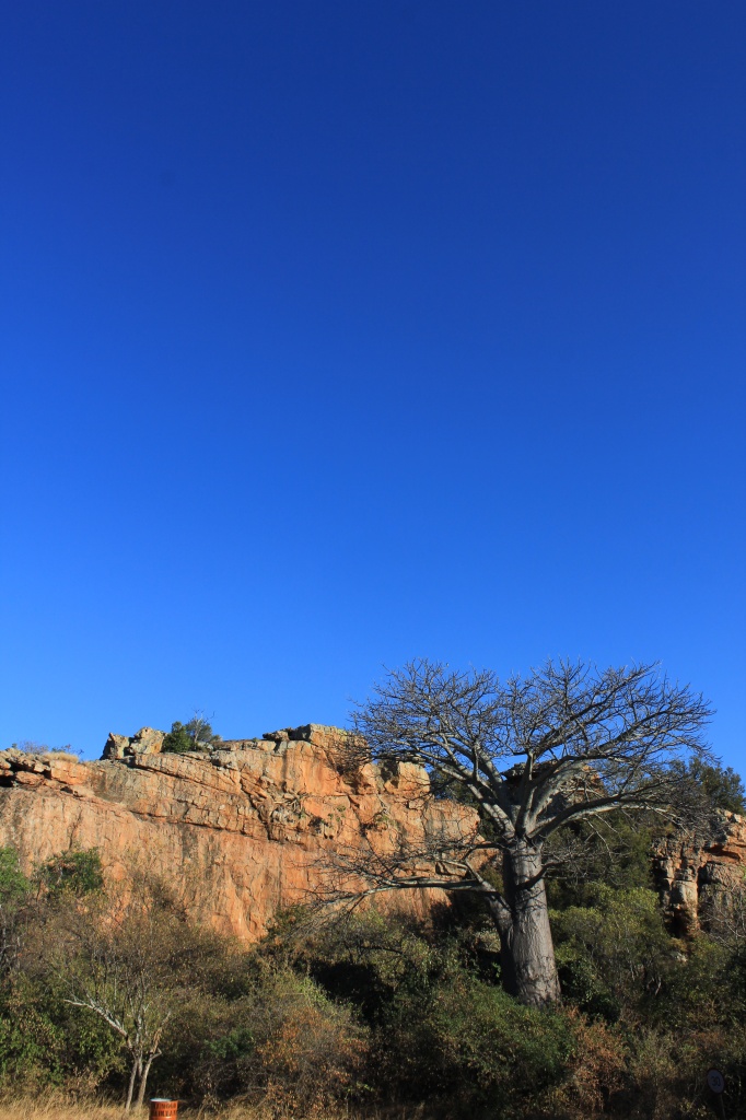 Land of the Baobab by eleanor