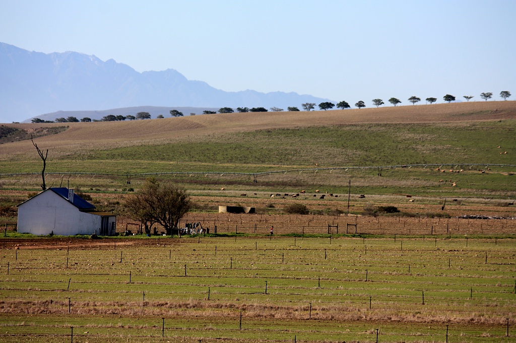 Winter in the Southern Cape by eleanor