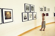 20th Apr 2012 - Gallery time