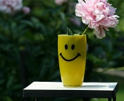 27th May 2012 - Festive Smiley Cup