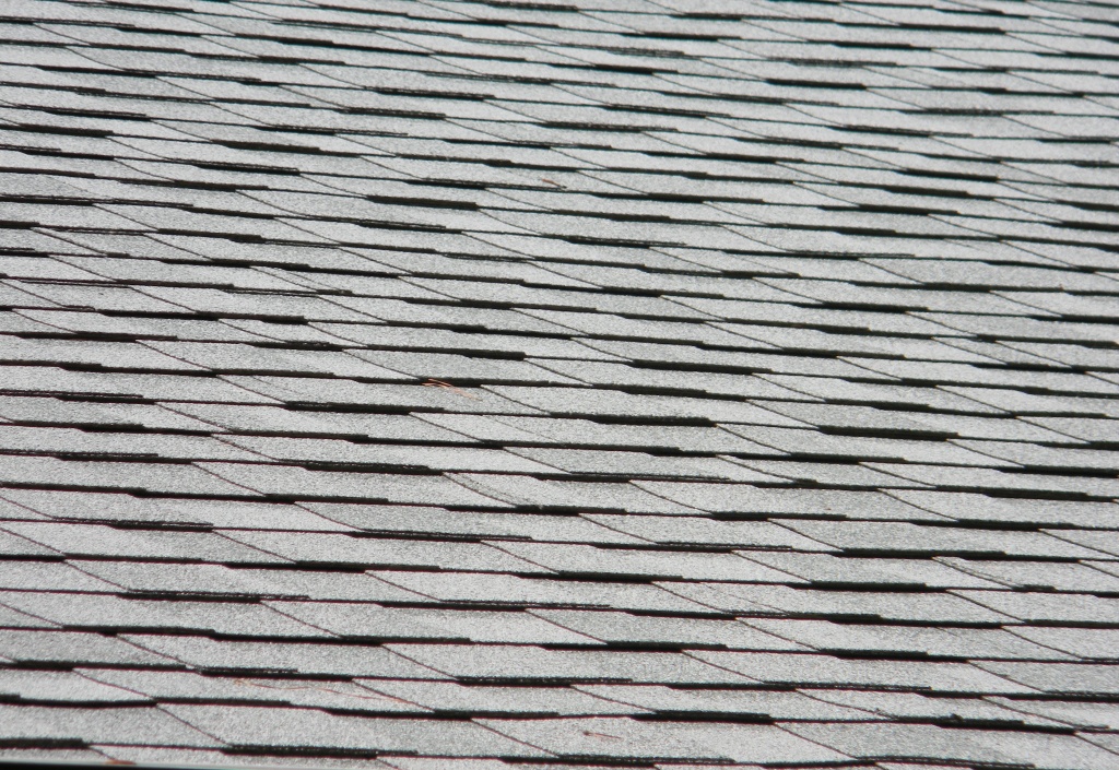 Roof Shingles 5.26.12 by sfeldphotos