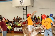 28th Mar 2012 - Donkey Basketball