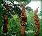 25th May 2012 - Wood Sculptures