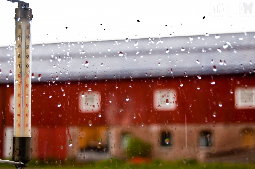 It's raining by ragnhildmorland