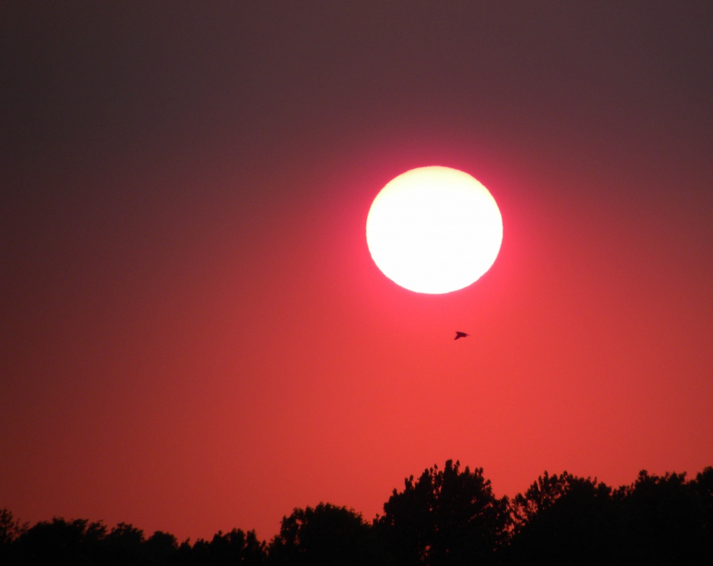 A No-Edit Sunset Shot! by sunnygreenwood