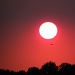 A No-Edit Sunset Shot! by sunnygreenwood