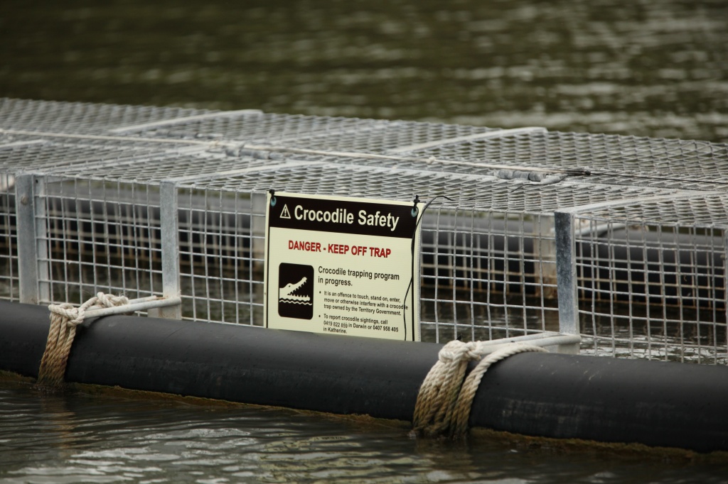 Crocodile Safety - Danger Keep Off Trap by lbmcshutter