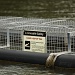 Crocodile Safety - Danger Keep Off Trap by lbmcshutter
