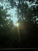 28th May 2012 - Morning sun