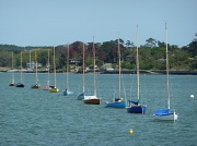 18th May 2012 - Boats