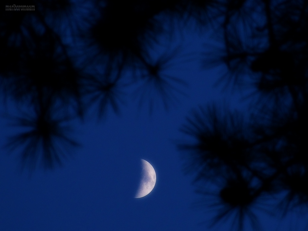 Carolina moon... by marlboromaam