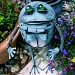 Waiter Frog by pamelaf