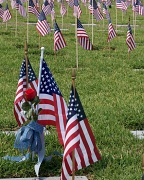 28th May 2012 - Memorial Day