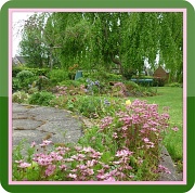 29th May 2012 - garden progress 