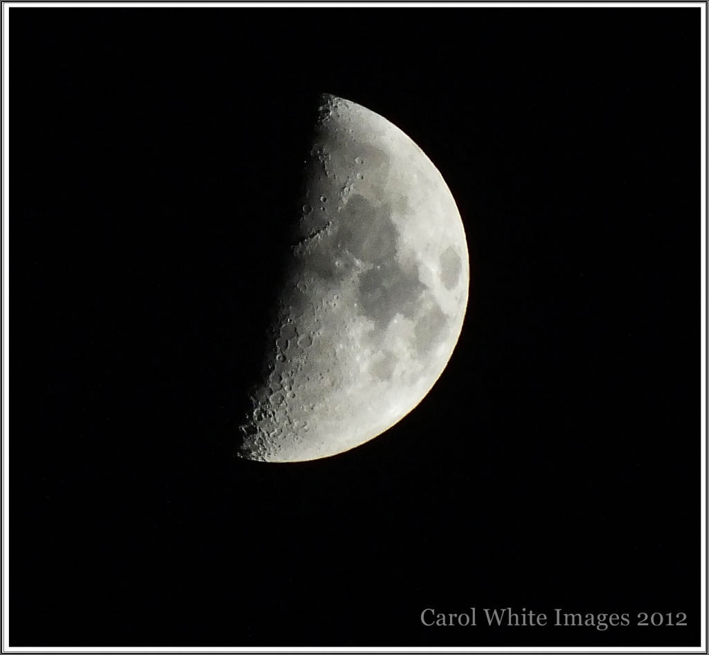 O Silver Moon! by carolmw