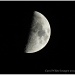 O Silver Moon! by carolmw