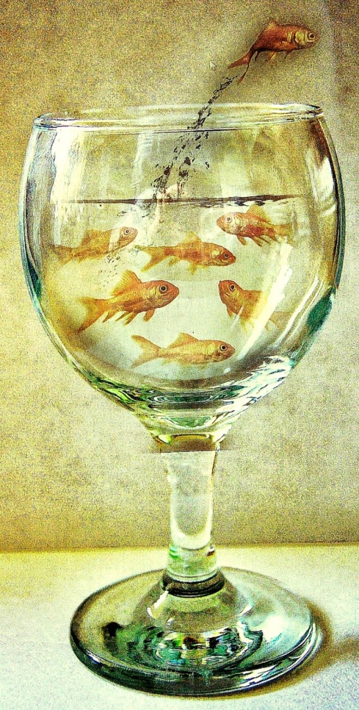 Drink like a fish by jesperani