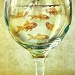 Drink like a fish by jesperani