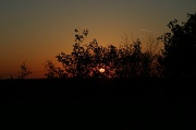 25th May 2012 - Sunset Stroll