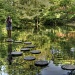 Japanese Gardens by lynne5477