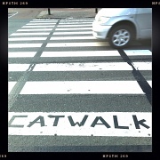 29th May 2012 - Catwalk