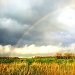 rainbow over Wisconsin by corktownmum