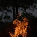 The Camp fire (camping trip #4 of a series) by jayberg