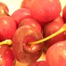 Cherries 5.29.12 002 by sfeldphotos