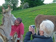 29th May 2012 - donkey hug
