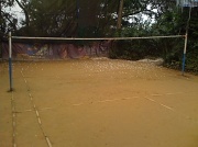 31st May 2012 - Badminton