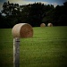 Field Of Hay Bails by digitalrn