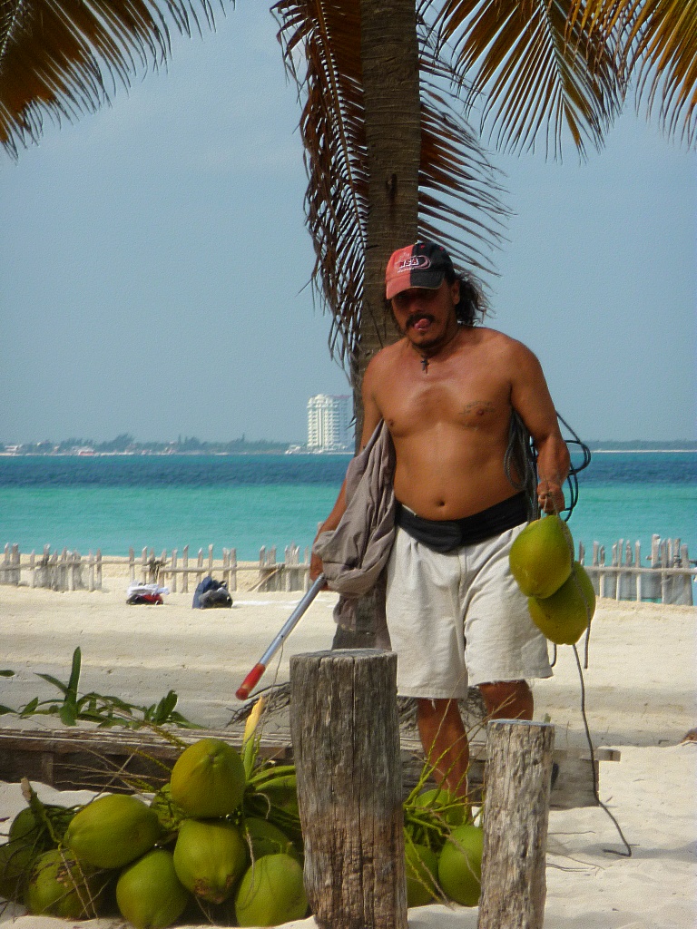Coconut Harvester by denisedaly