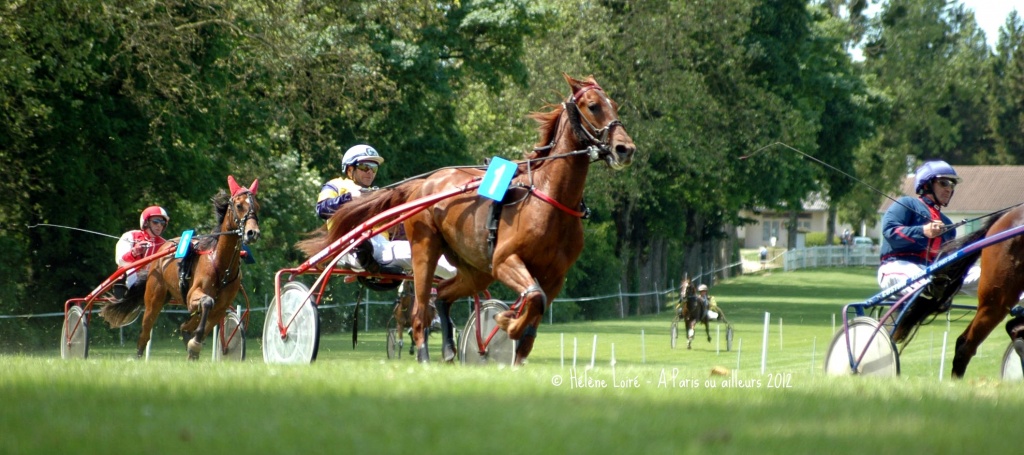 Horse race by parisouailleurs