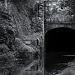 Tunnel Of Love by digitalrn