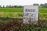 24th May 2012 - Greenhouse humor!