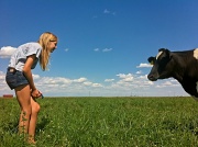 28th May 2012 - The Cow Whisperer