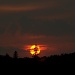 Algonquin Sunset (camping trip #6 of a series) by jayberg