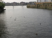 29th May 2012 - Tides  coming in