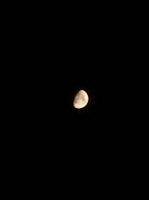 31st May 2012 - The moon through a mobile phone