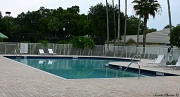 28th May 2012 - Our community pool
