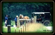31st May 2012 - Amish Family Goodbyes