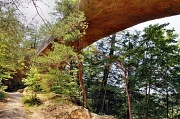 31st May 2012 - Under Sky Bridge - Red River Gorge